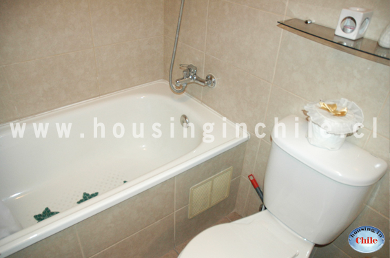 PF-SG: Baño privado de habitacion single