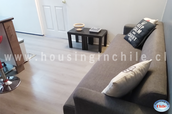Area comun con sofa