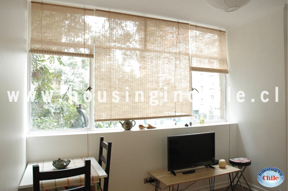 PF-TS: Large windows with view to the street