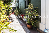 RE-AM: Gardens